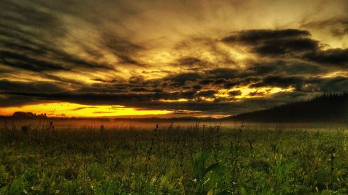 Scenic view of field against sky during sunset