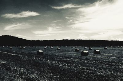 Hay bales on field against sky