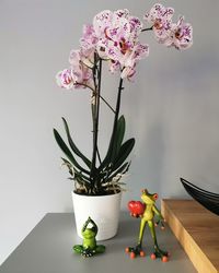 Close-up of potted plant on table against wall