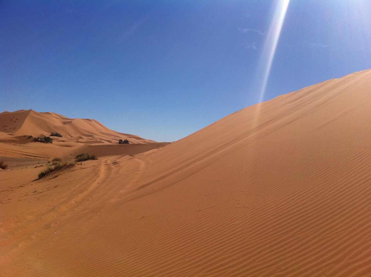 Sarahadesert