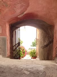 Trees seen through archway