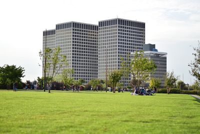Skyscrapers in park