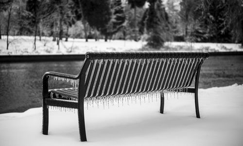 Empty bench in park during winter