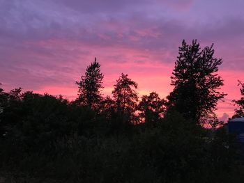 Silhouette trees against sky during sunset