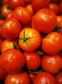 Full frame shot of wet red tomatoes for sale at market stall