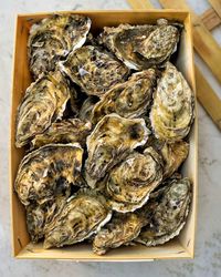 Close-up of dead fish in market