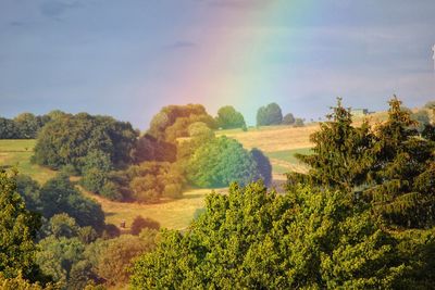 Scenic view of trees on field against sky