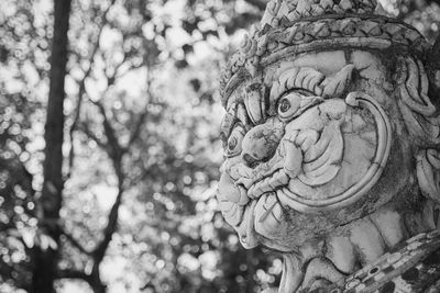 Close-up of cat statue against trees