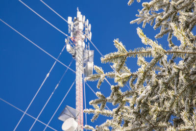 Low angle view of plants against clear blue sky