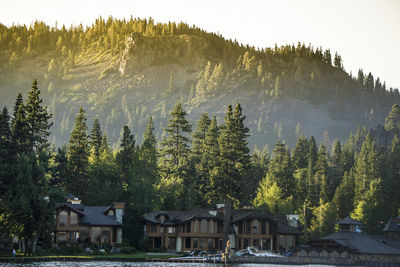 Trees against mountain range against sky