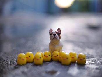 Close-up of yellow toys on table