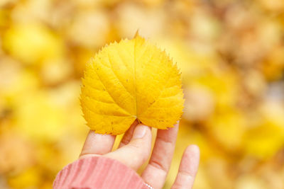 Close-up of woman hand holding autumn leaf