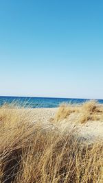 View of beach against clear blue sky
