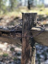 Close-up of wooden post