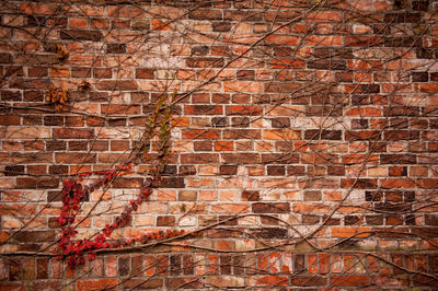 Full frame shot of brick wall