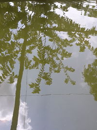 High angle view of plants by lake against sky