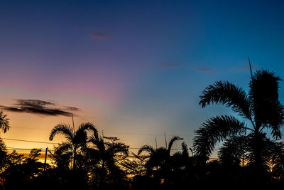 Low angle view of silhouette trees against sky during sunset