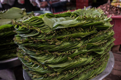 Close-up of leaves for sale in market