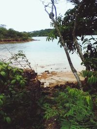 Scenic view of landscape and sea against clear sky