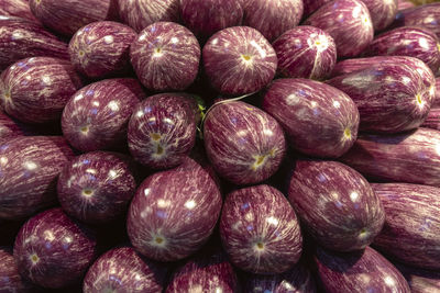 Organic long purple aubergine or eggplant 