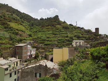Plants and buildings against sky