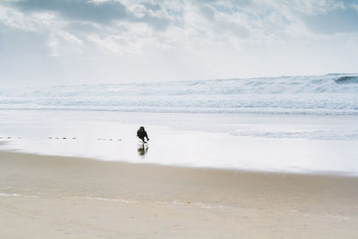 Dog running on beach against sky