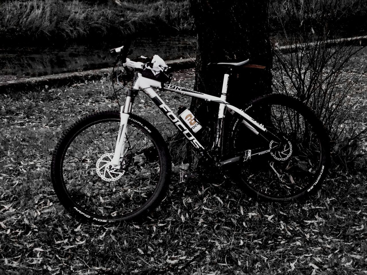 bicycle, transportation, mode of transport, land vehicle, wheel, stationary, field, abandoned, grass, parked, parking, outdoors, cycle, plant, day, old, damaged, tire, leaning, cart