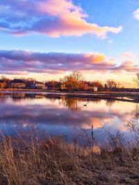 Reflection of trees in lake during sunset