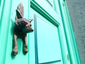 Low angle view of dog