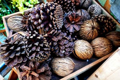 Close-up of pine nut on basket