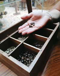 High angle view of person holding coffee beans 