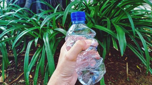 Midsection of person holding bottle against plants