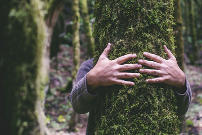 Cropped hand of woman standing in forest