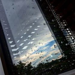 Aerial view of trees against sky seen through window