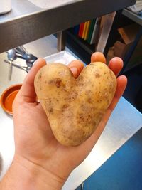 Close-up of hand holding bread