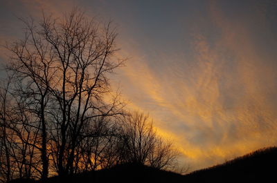 Low angle view of silhouette trees against sky at sunset