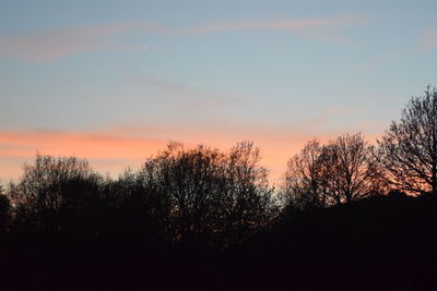 Low angle view of silhouette trees against sky during sunset