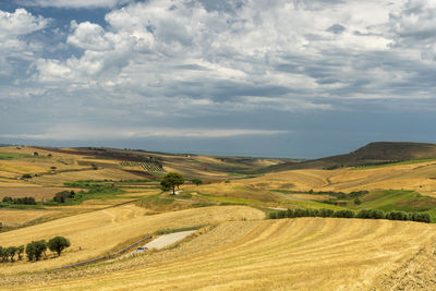 Scenic view of agricultural field against sky