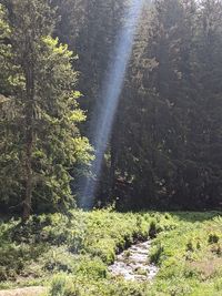 Scenic view of waterfall