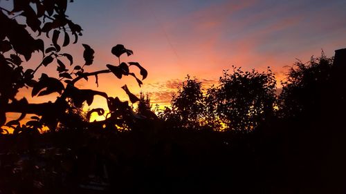 Silhouette trees against sky during sunset