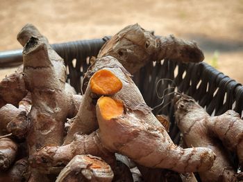 Close-up of crab for sale