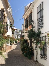 Narrow alley amidst buildings in city