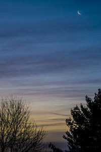 Low angle view of bare trees against cloudy sky