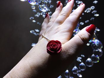 Close-up of human hand holding rose