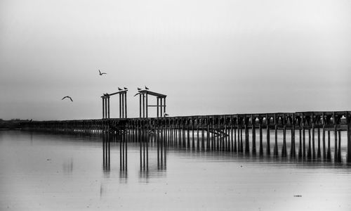 Pier on sea against sky