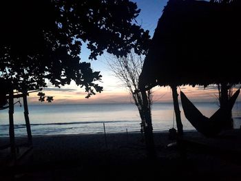 Silhouette trees on beach against sky during sunset