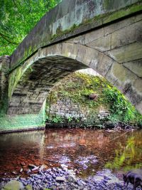 Low angle view of bridge over river