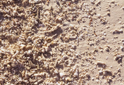 Full frame shot of rocks on shore