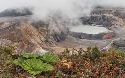 Steam on landscape