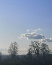 Low angle view of silhouette trees against sky